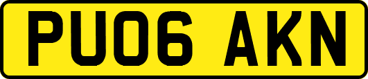 PU06AKN