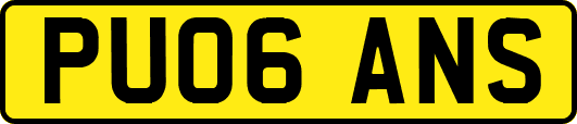 PU06ANS