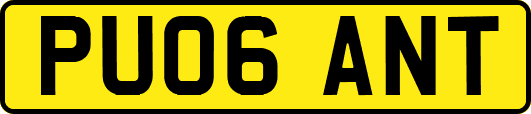 PU06ANT