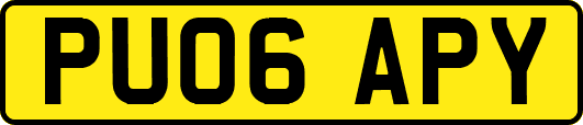 PU06APY