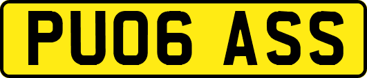 PU06ASS