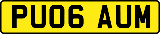 PU06AUM