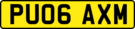 PU06AXM