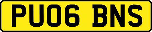PU06BNS