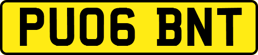 PU06BNT