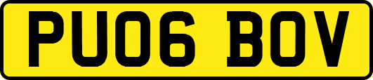 PU06BOV