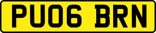PU06BRN