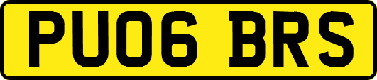 PU06BRS