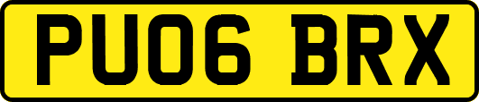 PU06BRX