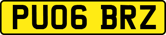 PU06BRZ