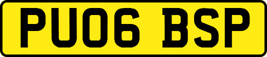 PU06BSP