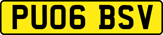 PU06BSV
