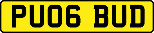 PU06BUD
