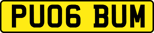 PU06BUM