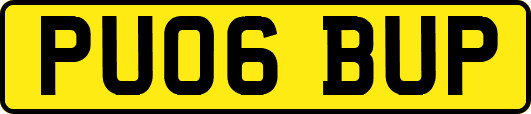 PU06BUP