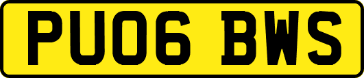 PU06BWS