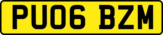 PU06BZM