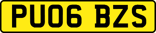 PU06BZS