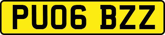 PU06BZZ