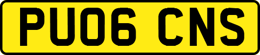 PU06CNS