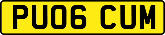 PU06CUM
