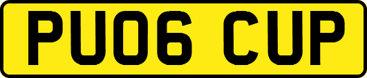 PU06CUP