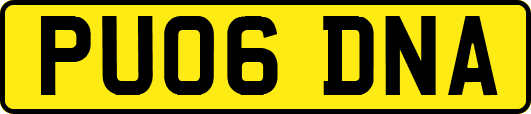PU06DNA