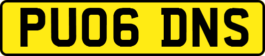 PU06DNS