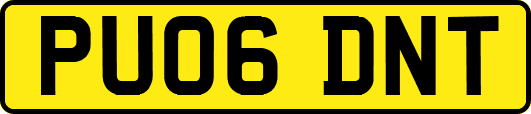 PU06DNT