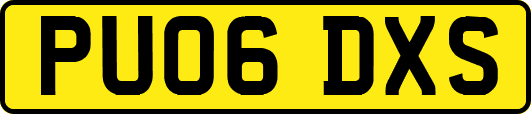 PU06DXS