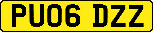 PU06DZZ