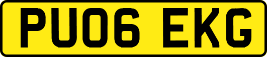 PU06EKG