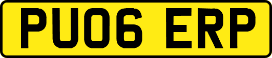 PU06ERP
