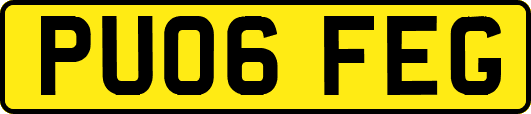 PU06FEG