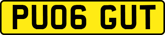 PU06GUT