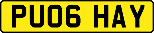 PU06HAY