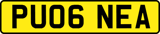PU06NEA