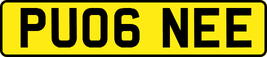 PU06NEE