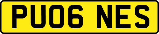 PU06NES