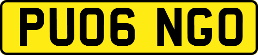 PU06NGO