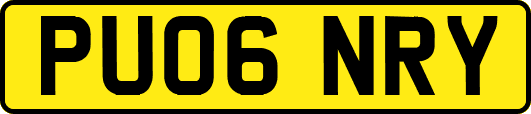 PU06NRY
