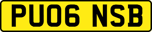 PU06NSB
