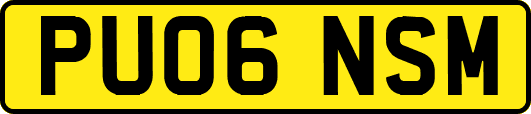 PU06NSM
