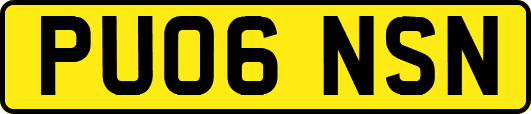 PU06NSN