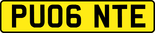 PU06NTE