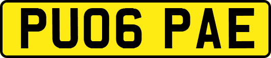PU06PAE