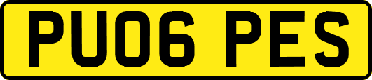 PU06PES