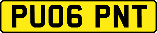 PU06PNT
