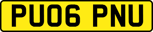 PU06PNU