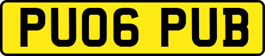 PU06PUB